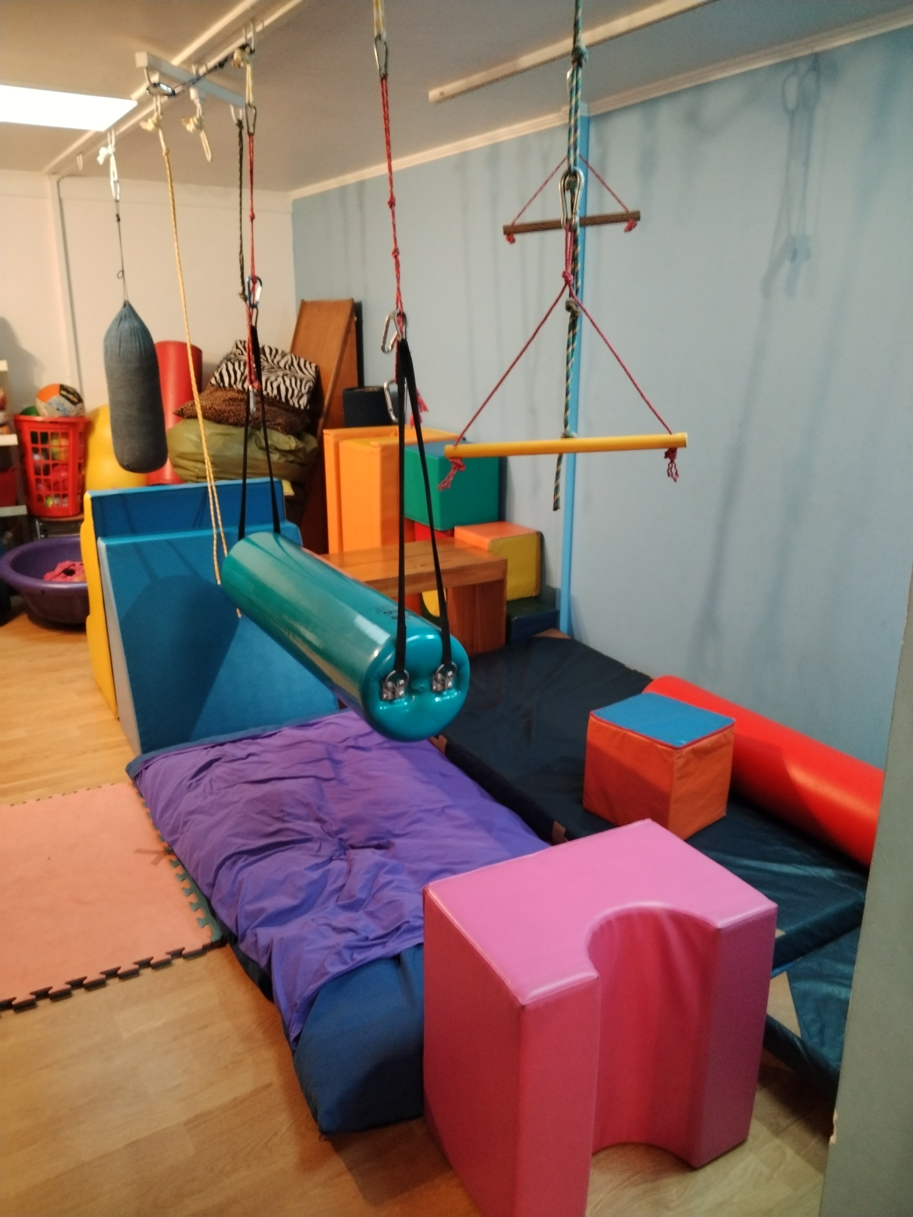 Terapia Ocupacional Pediátrica y Adolescente